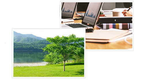 1761356736127595.jpg 02.jpg